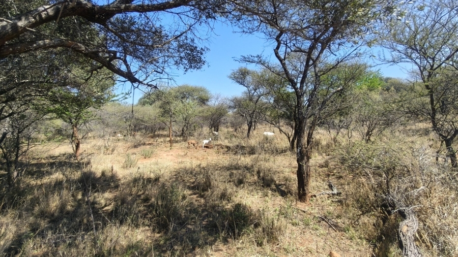 4 Bedroom Property for Sale in Zeerust North West